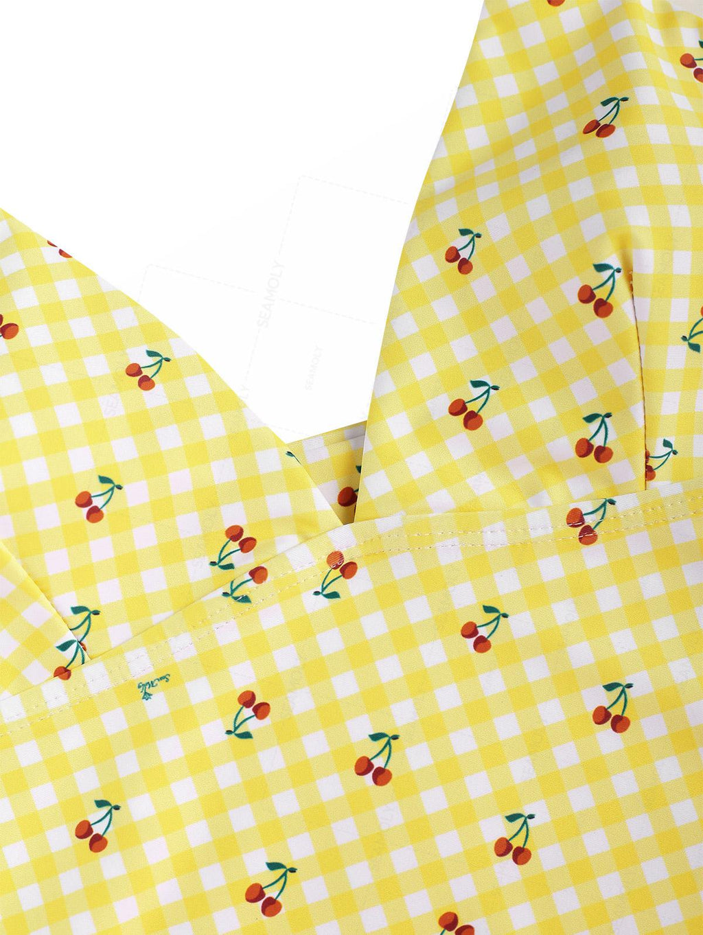 Seamolly Gingham Cherry Plunging Neck Halter Tied Full Coverage Tankini Set