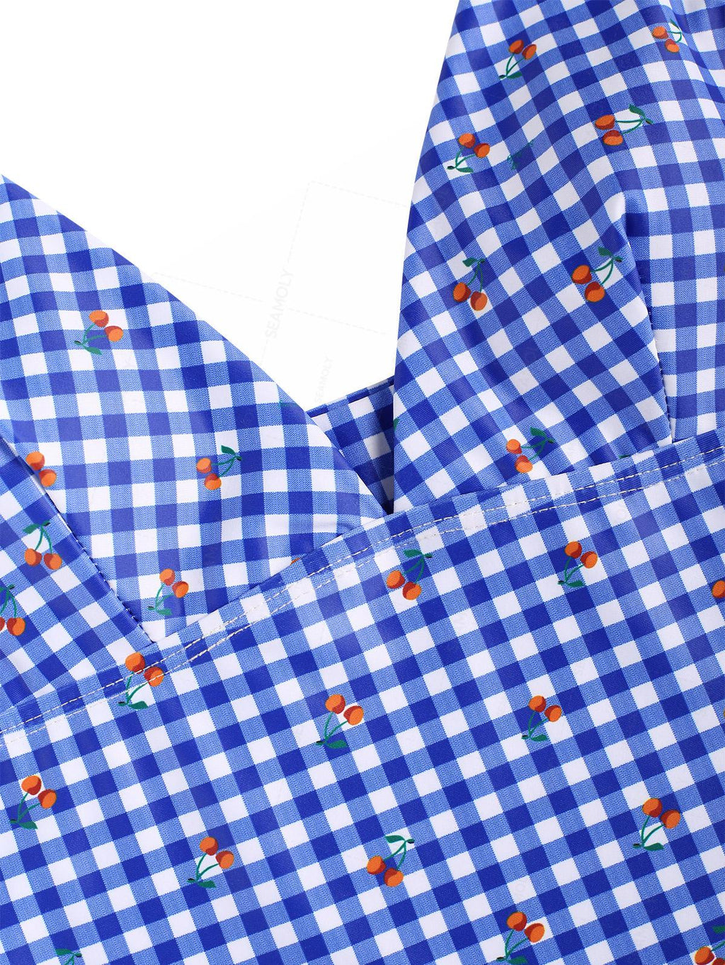 Seamolly Gingham Cherry Plunging Neck Halter Tied Full Coverage Tankini Set