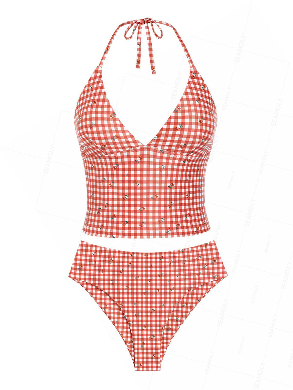 Seamolly Gingham Cherry Plunging Neck Halter Tied Full Coverage Tankini Set