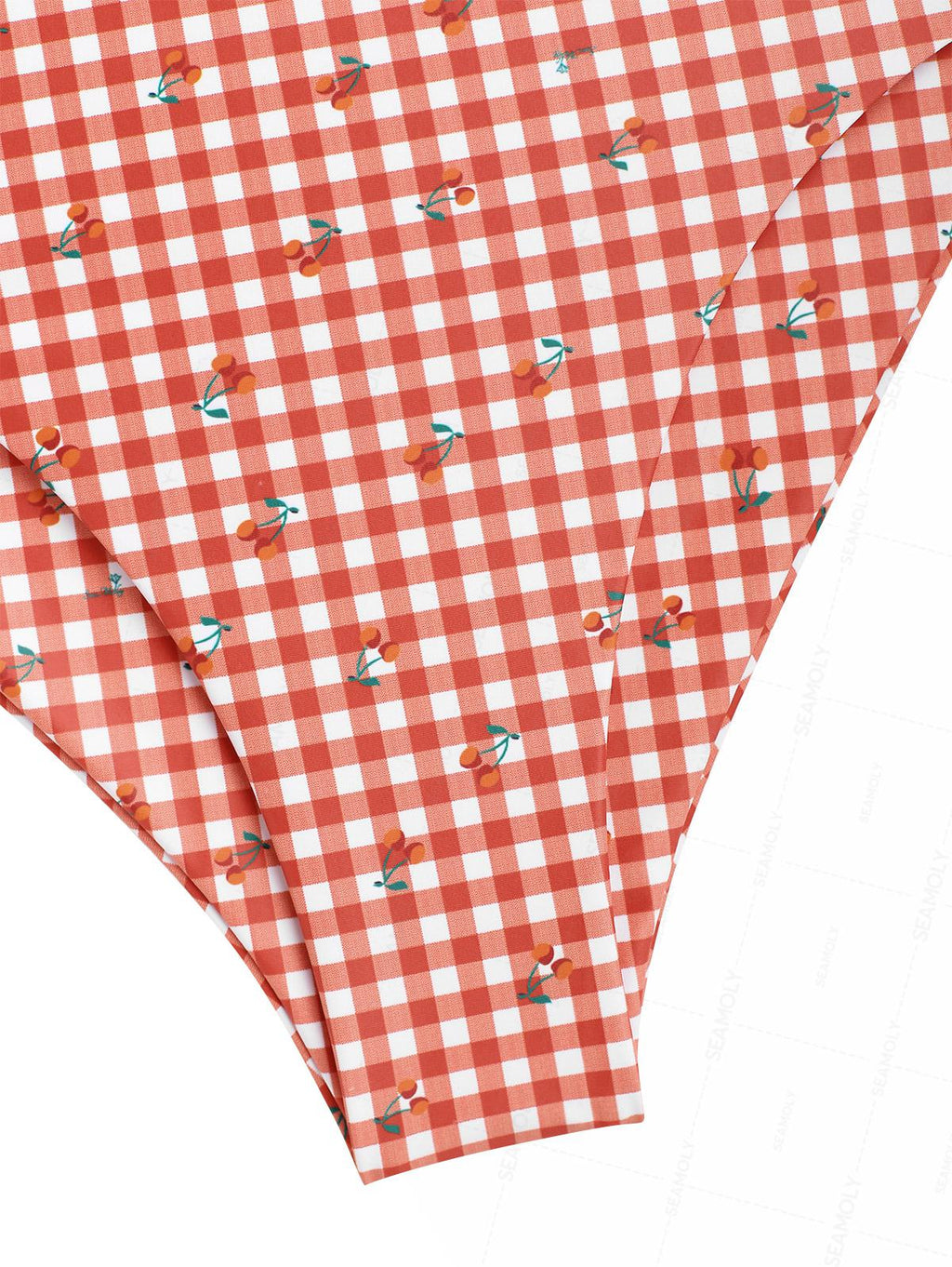 Seamolly Gingham Cherry Plunging Neck Halter Tied Full Coverage Tankini Set