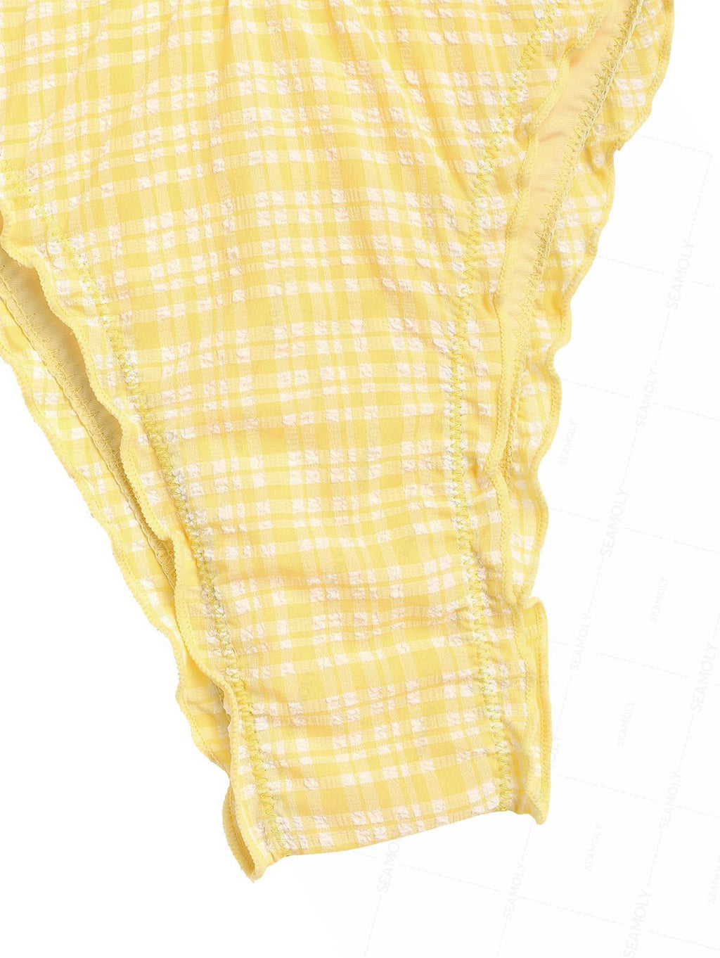 Seamolly Plaid Textured Smocked Ruffles Plunging Neck Tankini Set