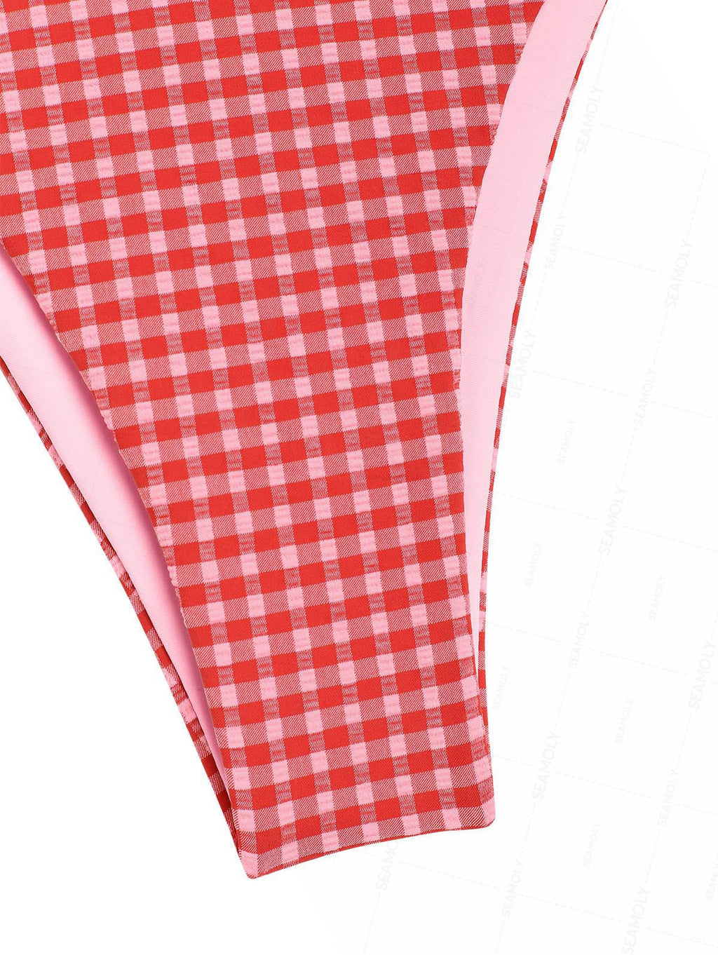 Seamolly Gingham Bowknot Decor Cinched Tied Back Underwire Bikini Set